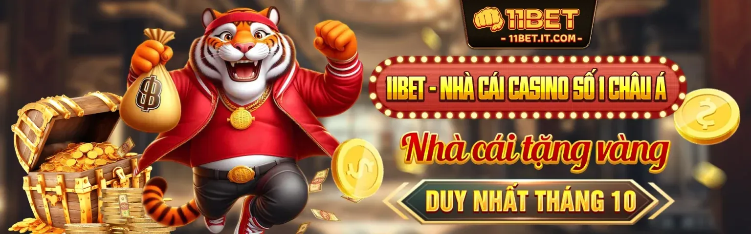 Hình ảnh chính về Điều khoản và Điều kiện MN88 Code