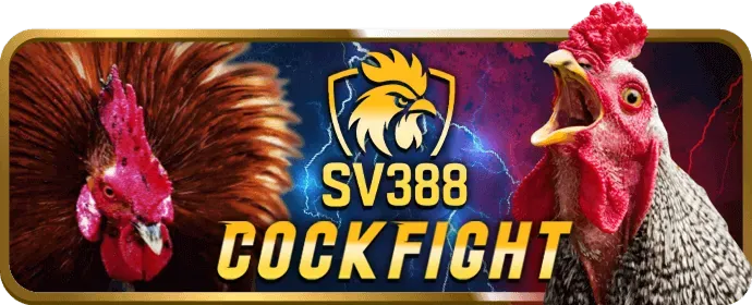 Ưu đãi chào mừng MN88 cho thành viên mới